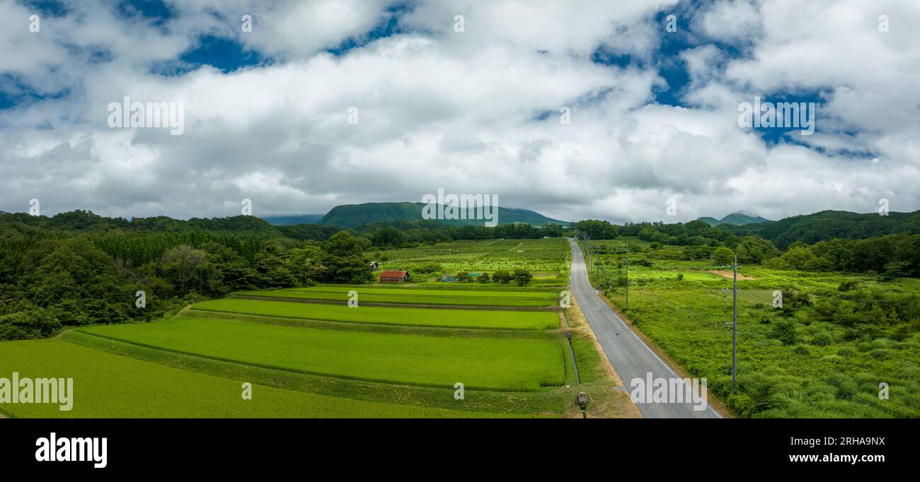 Leere offene Straße mit terrassenförmig angelegten Reisfeldern und üppig grüner Landschaft Stockfoto