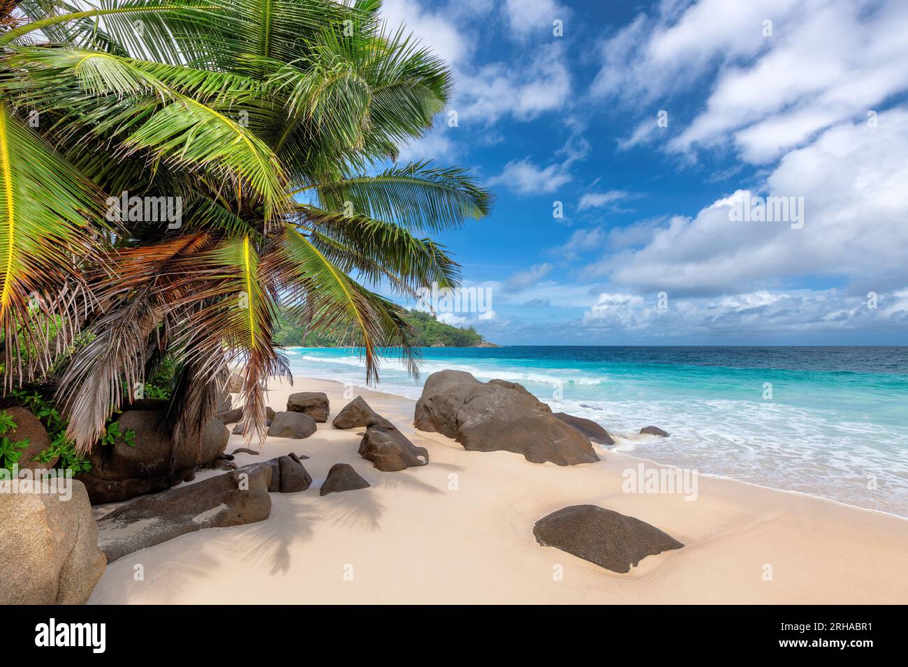 Tropischer Paradiesstrand, Palmen, wunderschöne Felsen und blaues Meer auf der Insel Seychellen. Stockfoto