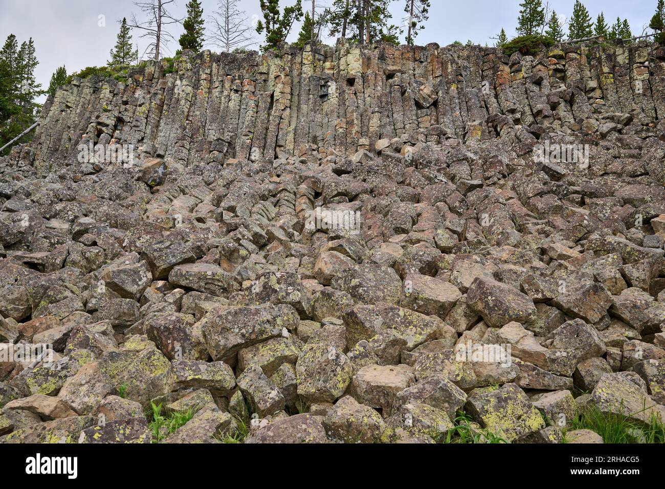 Sheepeater Cliff, Yellowstone-Nationalpark, Wyoming, Vereinigte Staaten von Amerika Stockfoto