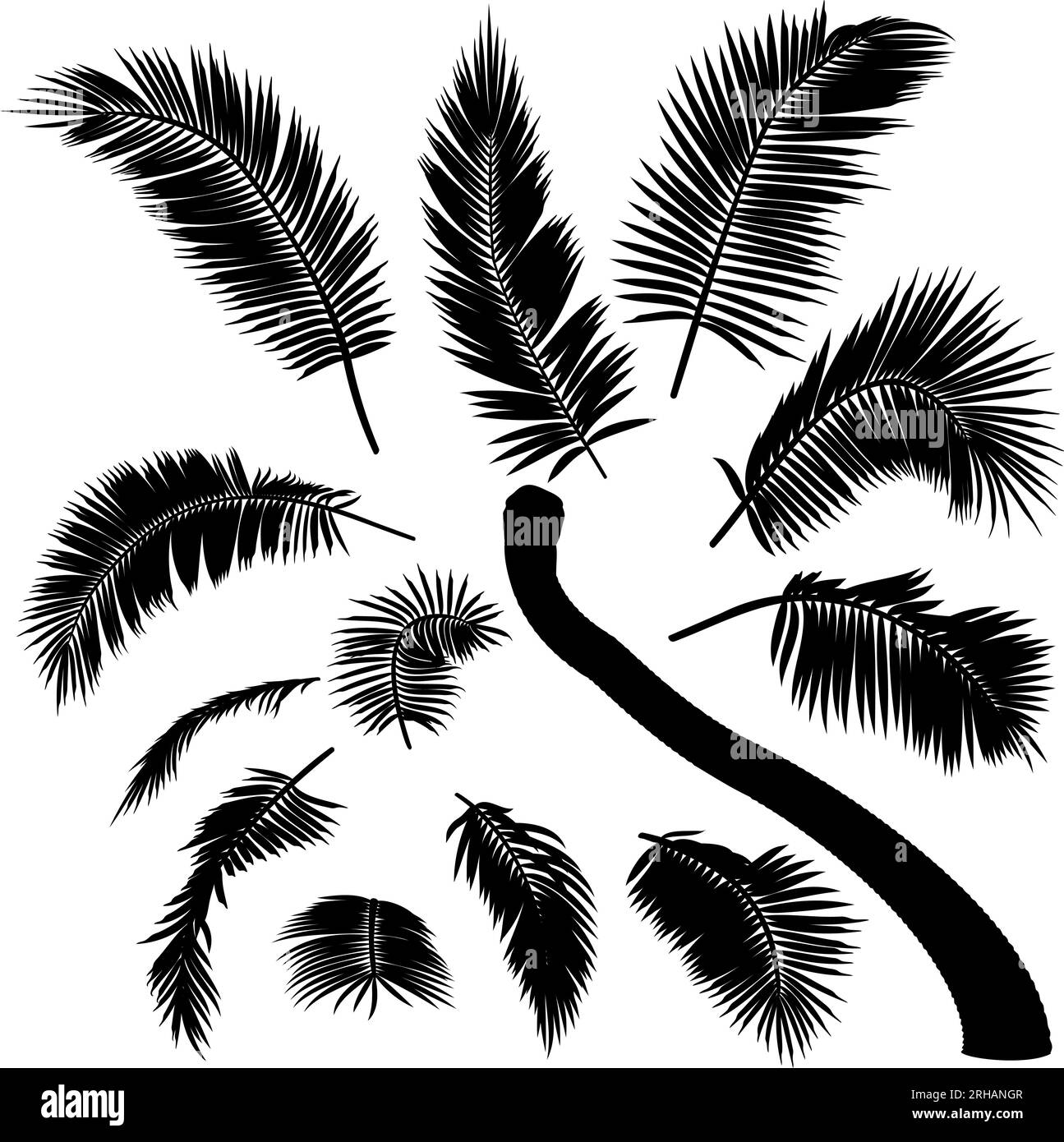 Form gebogener Kokospalmenelemente. Vektordarstellung einer schiefen Palme. Bild: Tropischer Palmenstamm, Laub, Äste, Blätter Stock Vektor