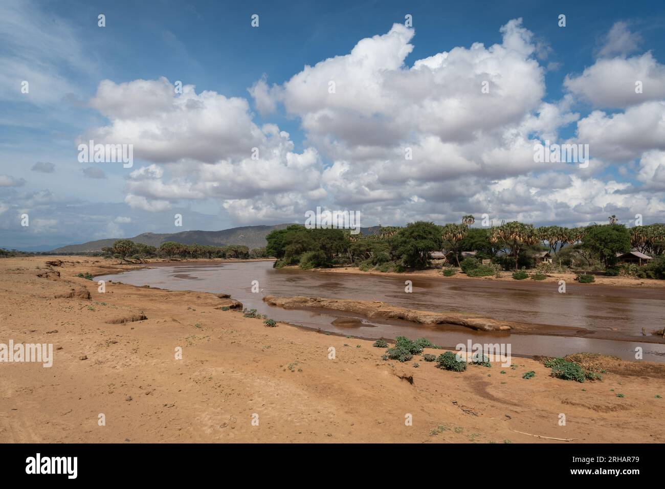 Ewaso Ng'iro River, Samburu Wildreservat, Kenia, Afrika Stockfoto