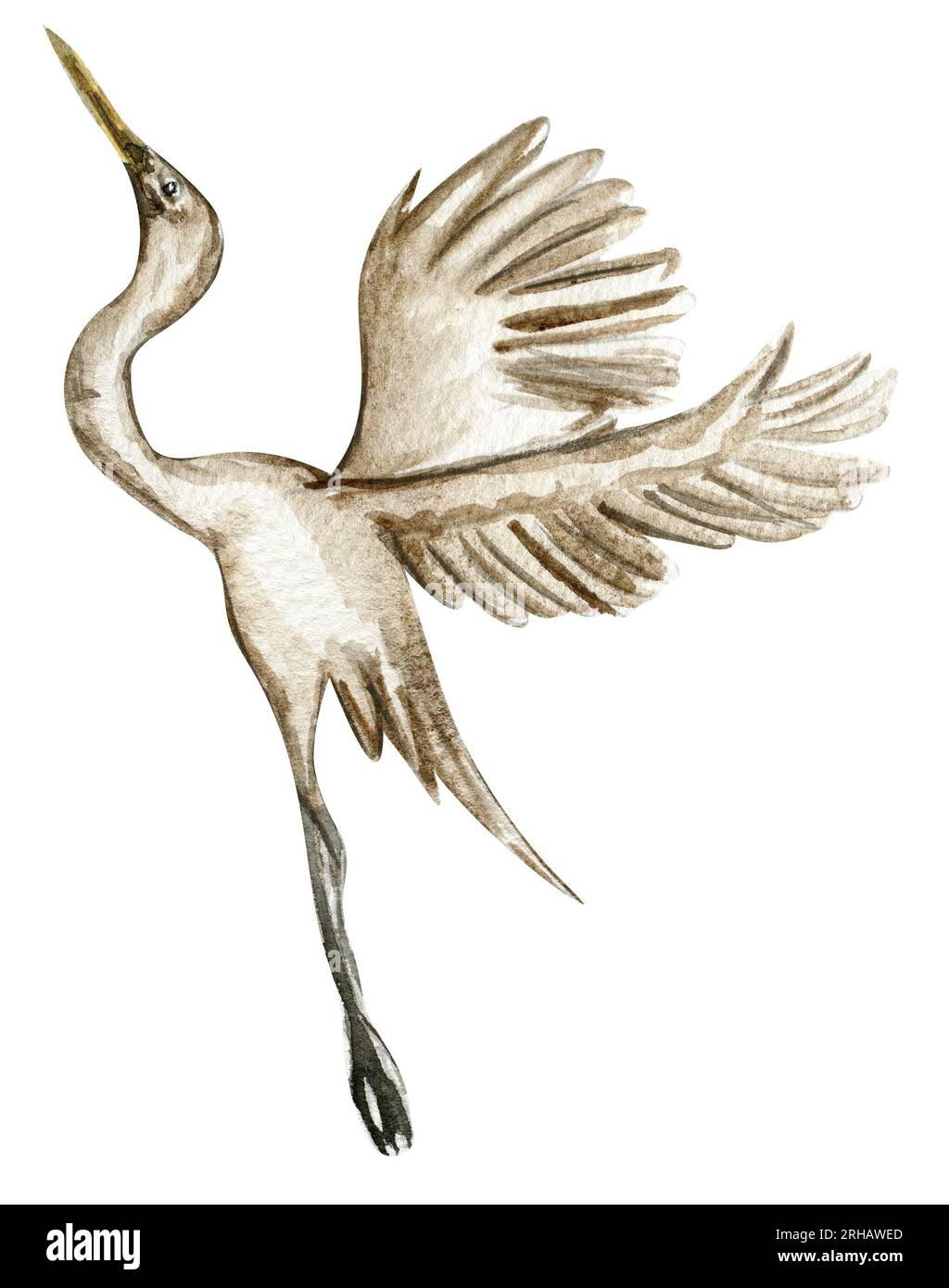 Aquarellhandgezeichneter Reihervogel. Aquarelldarstellung des Wildtieres. Perfekt für Hochzeitseinladungen, Grußkarten, Poster. Stockfoto