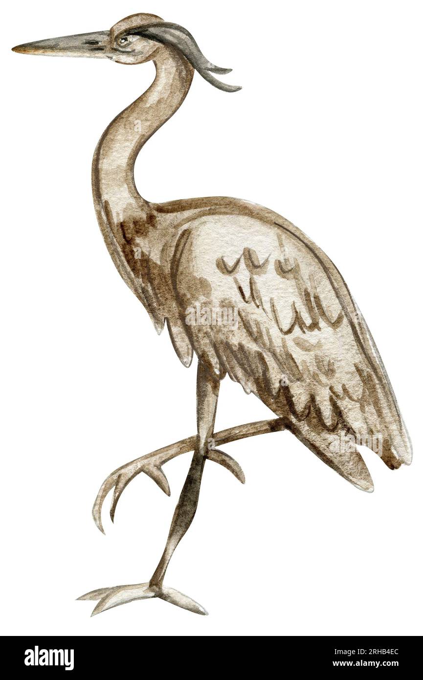 Aquarellhandgezeichneter Reihervogel. Aquarelldarstellung des Wildtieres. Perfekt für Hochzeitseinladungen, Grußkarten, Poster. Stockfoto