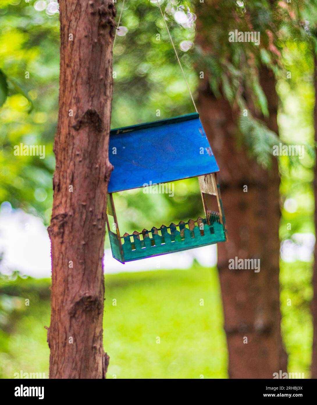 Konzeptaufnahme des handgefertigten Vogelfutters im Wald Stockfoto