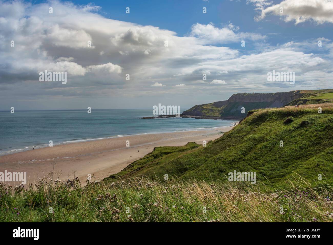 Cayton Bay ist ein malerisches Küstengebiet in North Yorkshire, England. Es liegt etwa 8 Meilen südlich der beliebten Stadt Scarborough Stockfoto