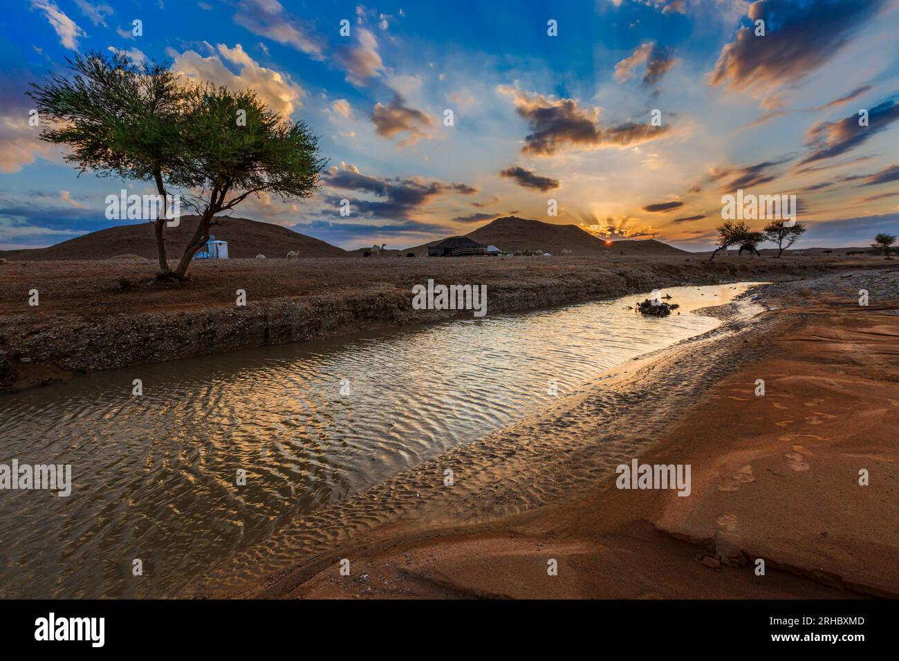 Das Wüstental wurde bei Sonnenuntergang überflutet, Saudi-Arabien Stockfoto