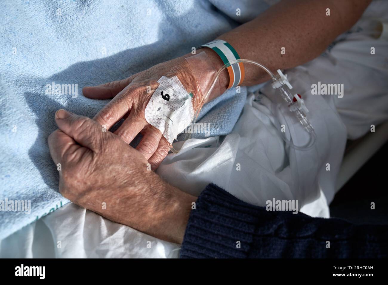 Von oben nicht erkennbarer Seniorenmann, der während der Behandlung die Hand einer kranken Frau hält, die auf dem Krankenbett liegt und einen angeschlossenen peripheren Venenkatheter hat Stockfoto