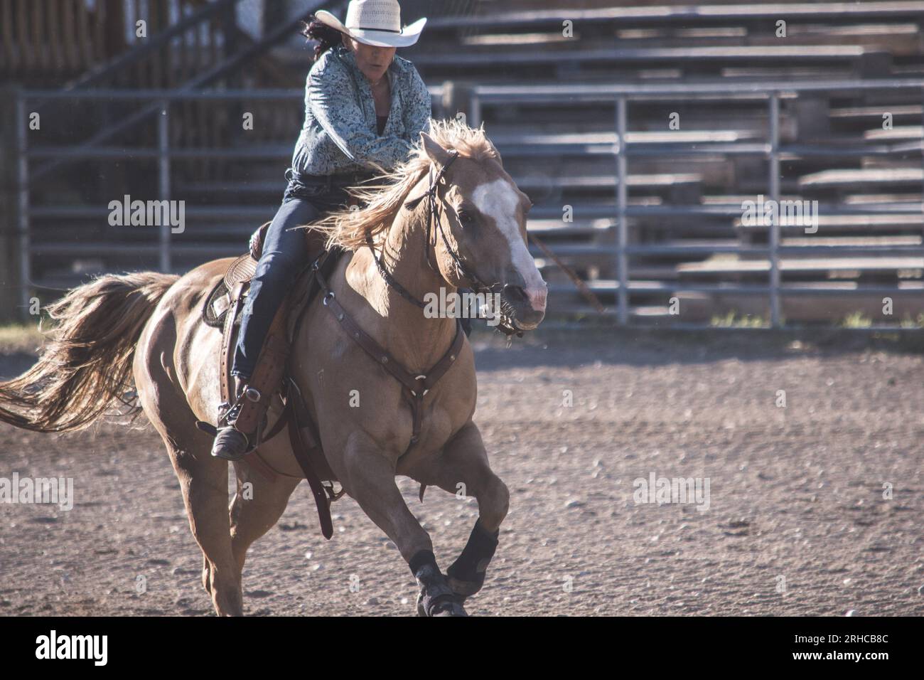 Augusta American Legion PRCA Rodeo Slack in Augusta, MT – Sommer 2019 Stockfoto