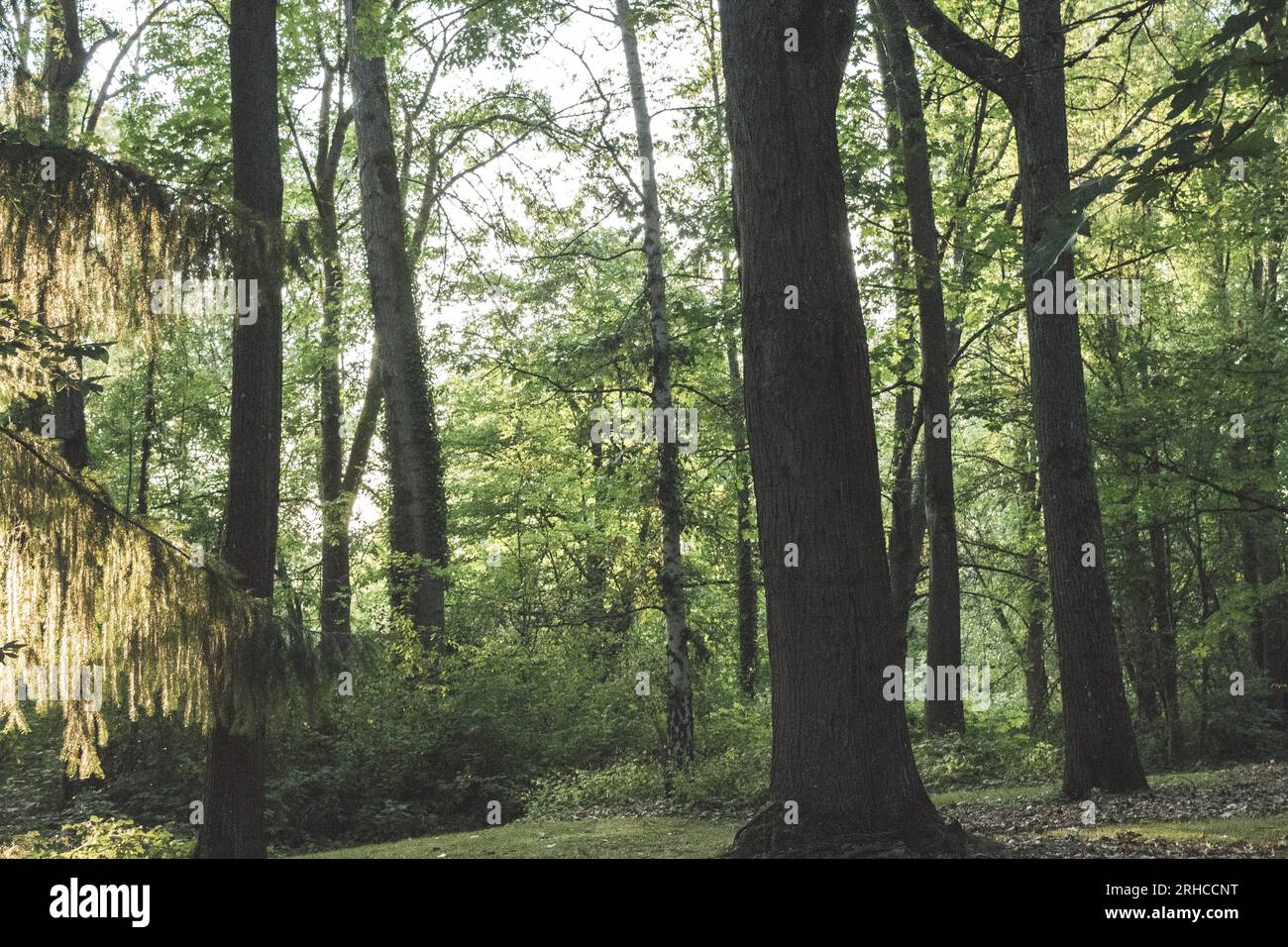 Seattle, WA Arboretum - 2019 Stockfoto