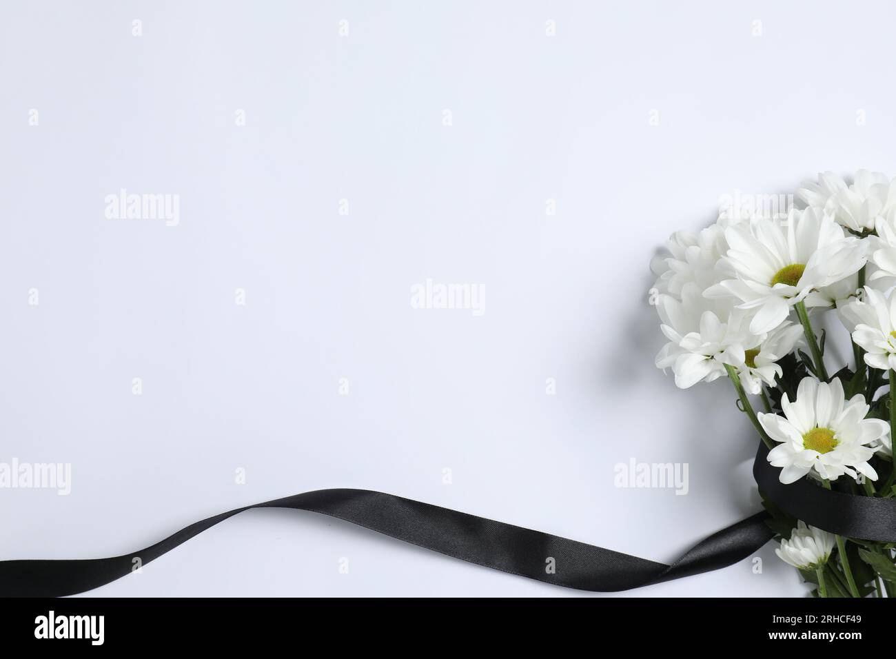 Wunderschöne Chrysanthemen und schwarzes Band auf weißem Hintergrund, Draufsicht mit Platz für Text. Begräbnissymbole Stockfoto