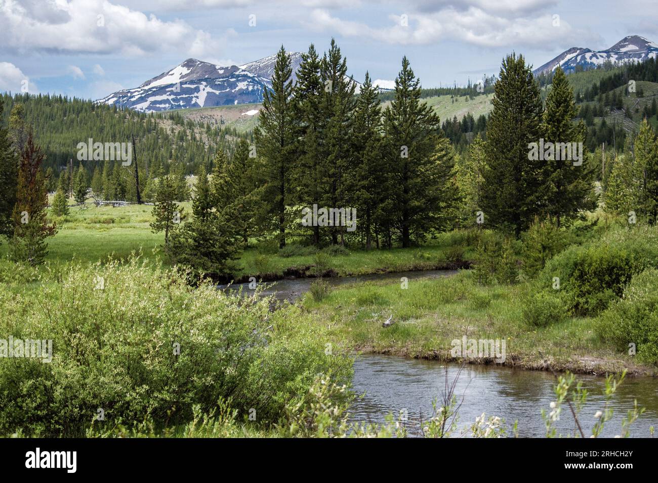 Yellowstone-Nationalpark - 2020 Stockfoto