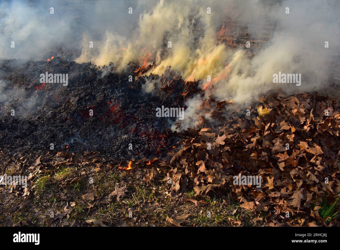 Ein Haufen brennender Blätter während der Frühjahrsreinigung des Gartens und des Rasens im ländlichen Missouri, MO, USA, USA. Stockfoto