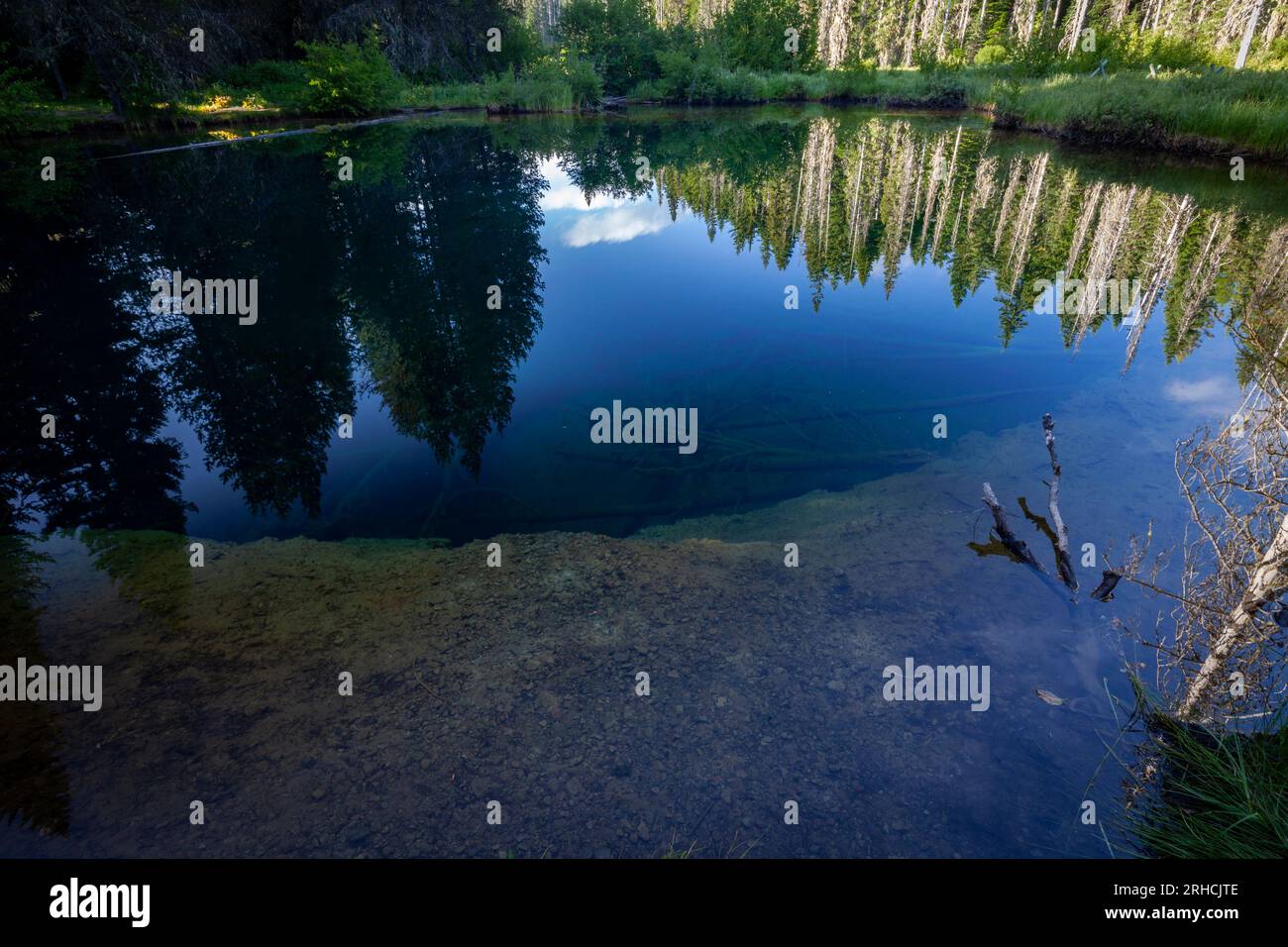 Der Little Crater Lake im Mount Hood National Forest in Clackamas County, Oregon, ist ein 45 Meter tiefer, von einer Quelle gespeister See. Es ist nach Crater Lake, als, benannt Stockfoto
