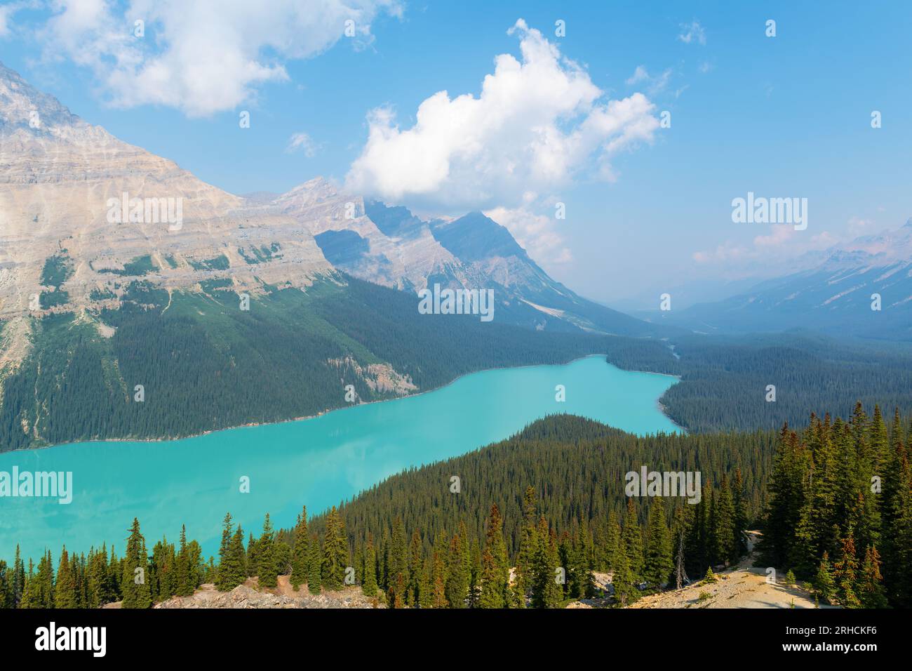 Peyto Lake im Sommer, Banff National Park, Alberta, Kanada. Stockfoto