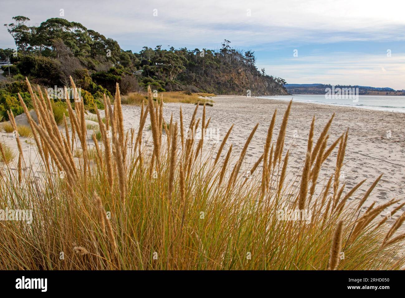Spring Beach, Tasmanien Stockfoto