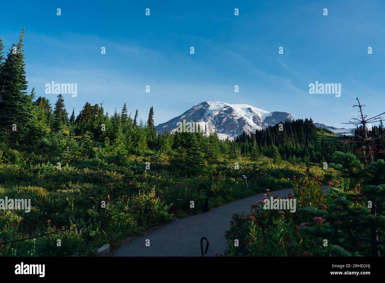 Mount Rainier auf der Skyline Trail Loop im Mount Rainier National Park Stockfoto