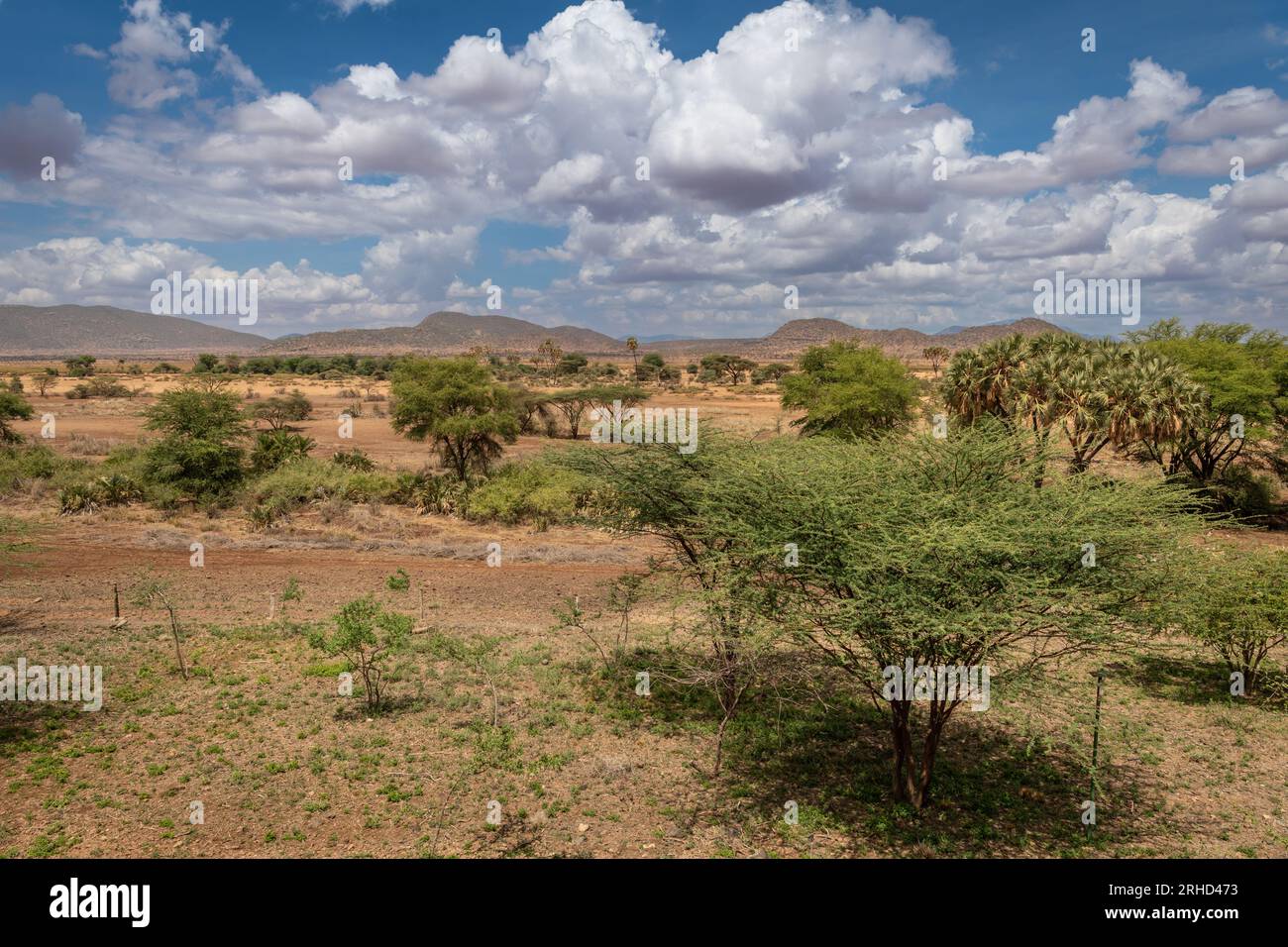 Samburu Game Reserve Landschaft, Kenia, Afrika Stockfoto
