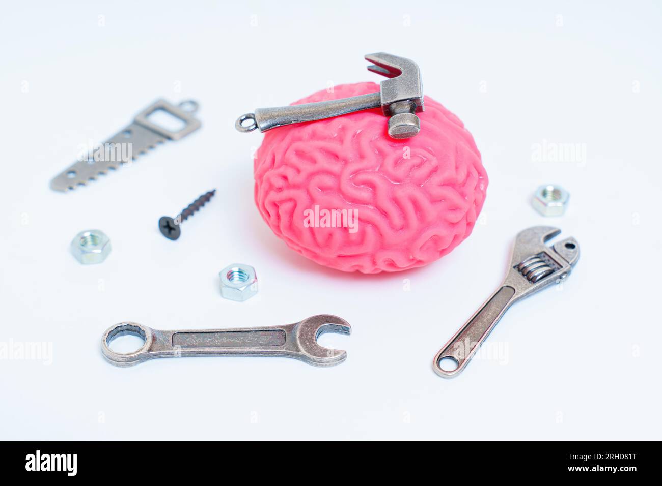 Menschliches Gehirnmodell begleitet von einem Satz von Miniatur-Handwerkzeugen wie Hammer, Säge, Schraubenschlüssel und Befestigungselemente. Gehirnforschung, kognitive Entwicklung, Stockfoto
