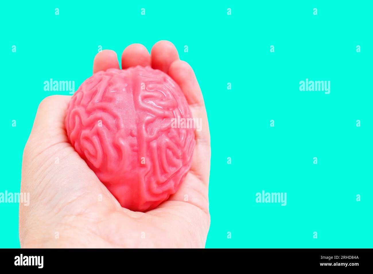 Ein geleeartiges menschliches Gehirnmodell liegt zart in der Hand vor einem ruhigen grünen Hintergrund. Neurowissenschaft, Kognition und medizinische Forschung konc Stockfoto