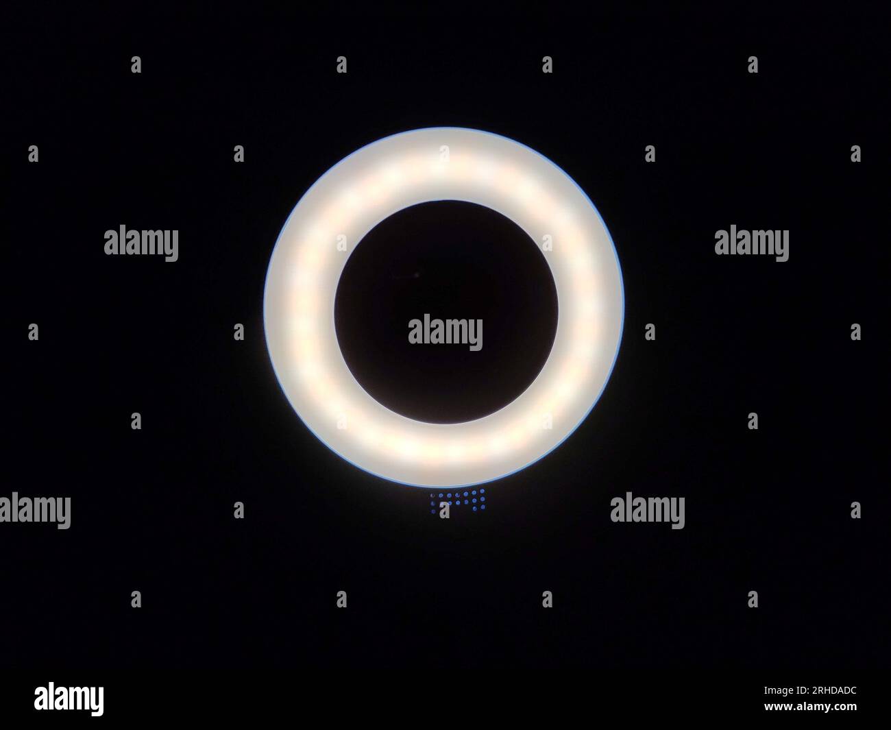 Ringförmige, kühle, weiße LED-Beleuchtung vor dunklem Hintergrund Stockfoto