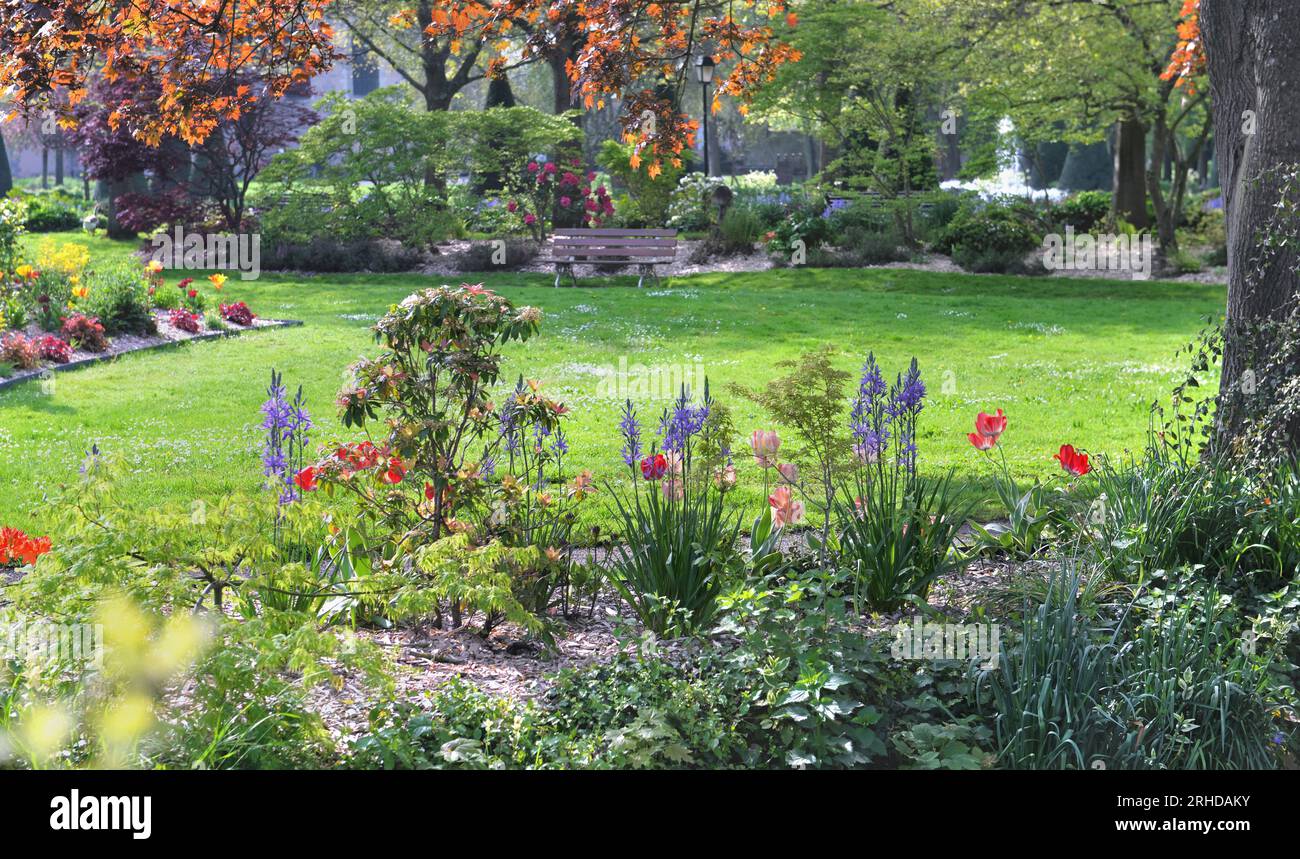 Wunderschöner öffentlicher Garten mit hübschen Frühlingsblumen, die einen Rasen umgeben und von einem Busch gesäumt sind Stockfoto