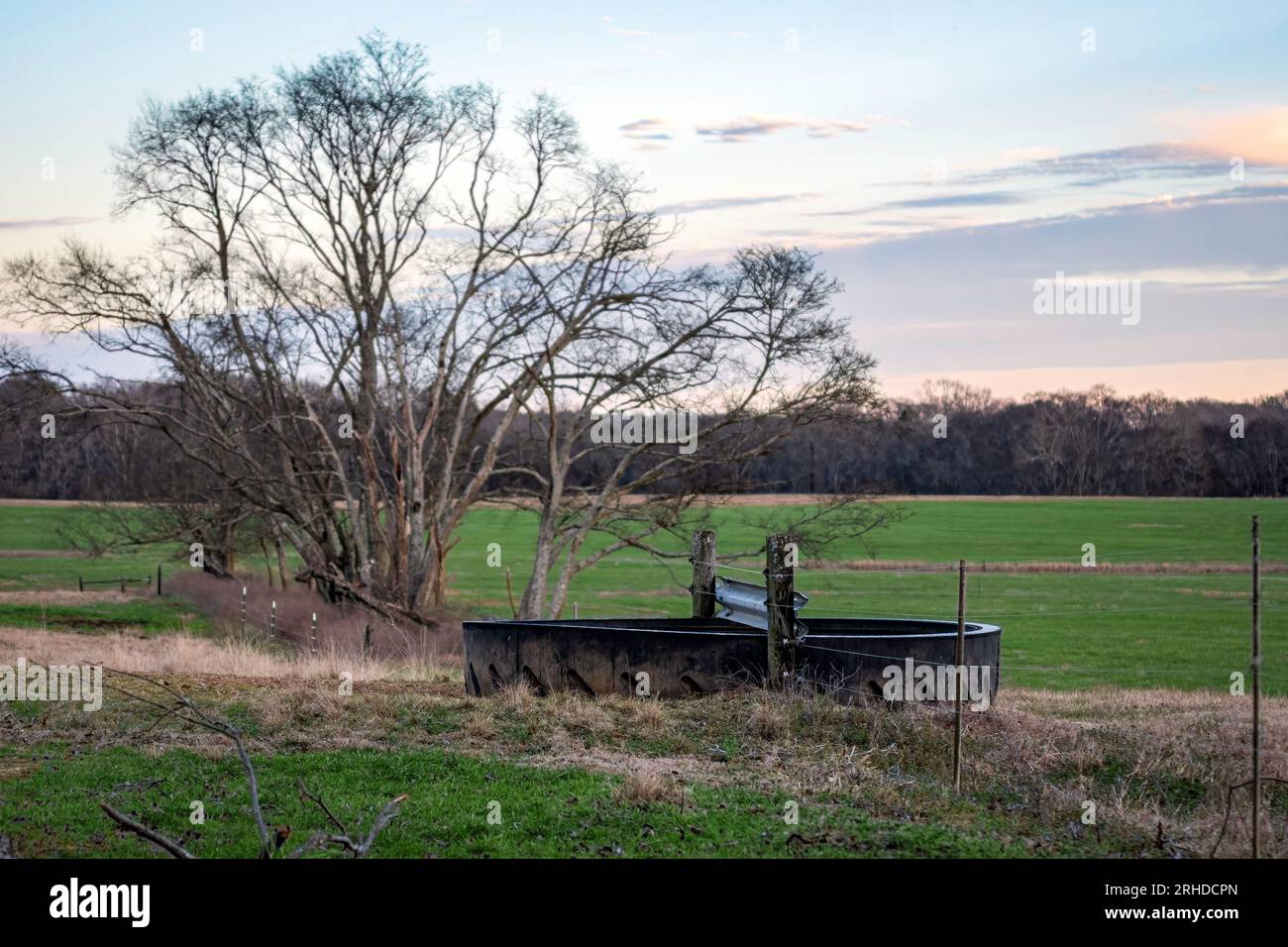 Rinder-Wassertank, der sich über zwei Weiden erstreckt, die im Januar auf einer Kuhweide in Alabama aus einem alten Traktorreifen und Schutzgeländer hergestellt wurden. Stockfoto