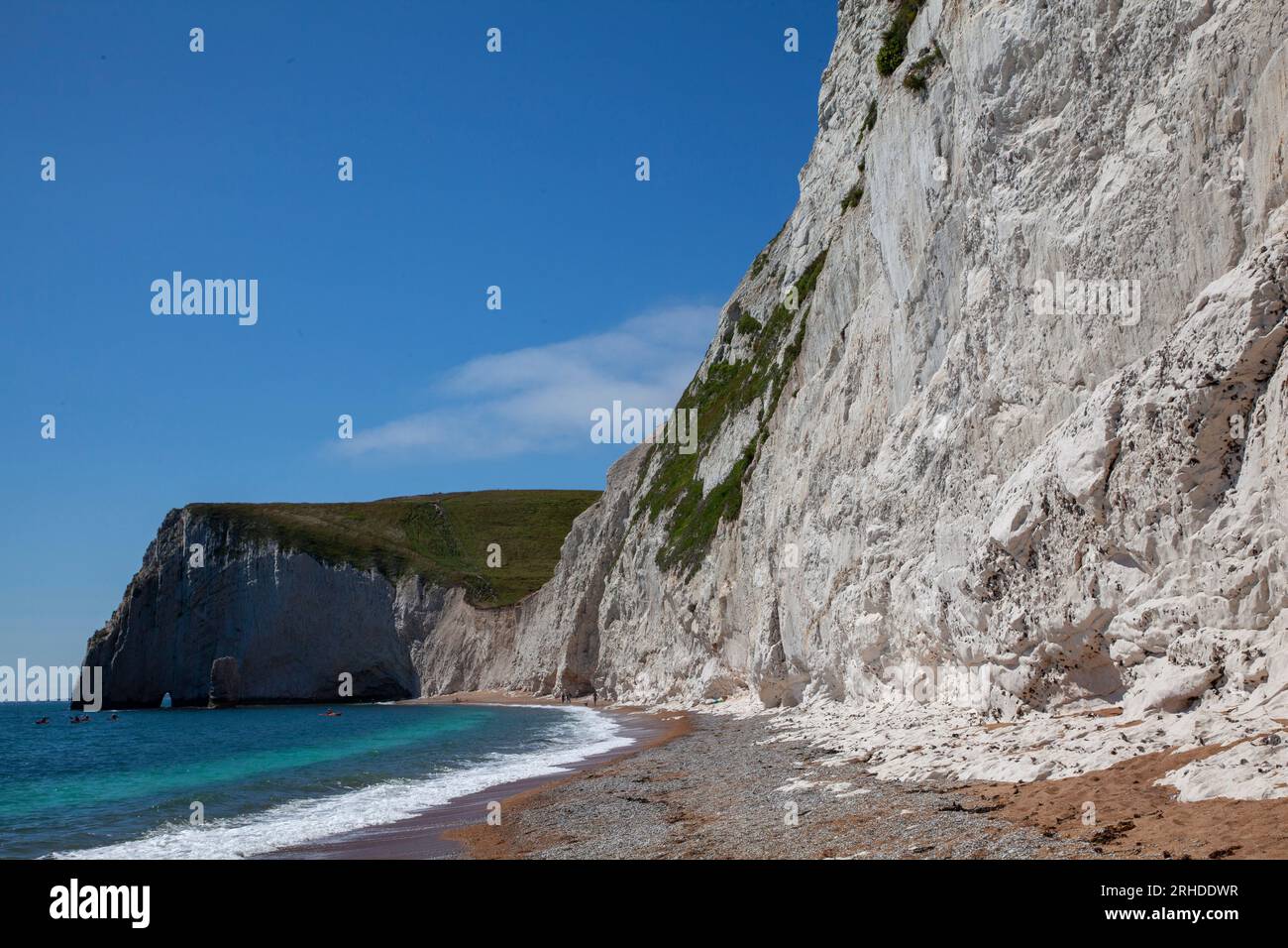 Die sanften Kreidefelsen von Dorset westlich von Durdle Door, bei Lulworth, Dorset Stockfoto