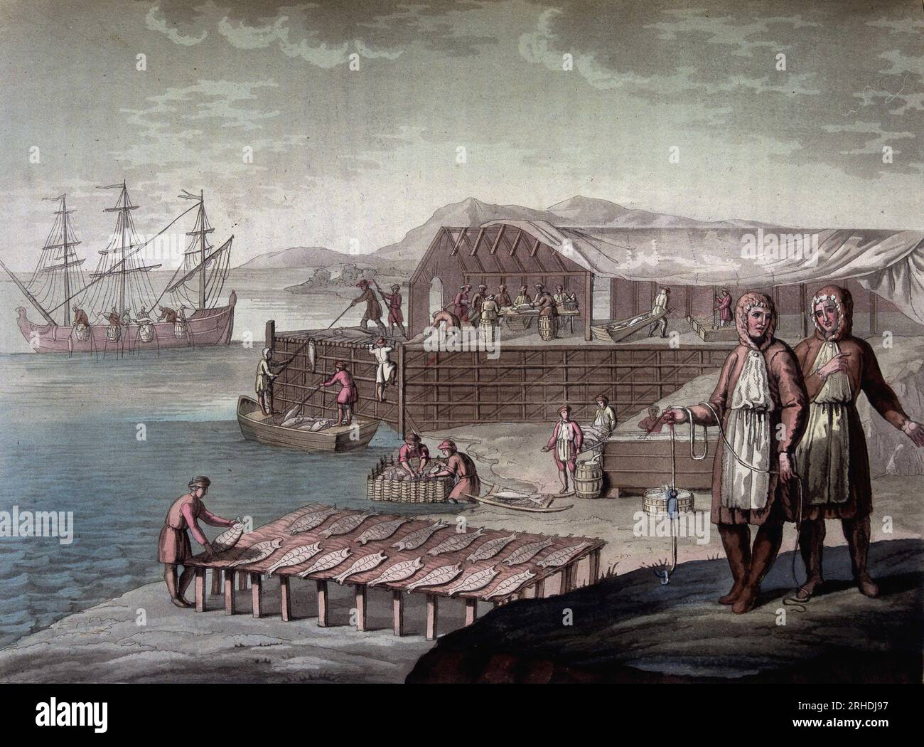 pêche de la morue faite par les habitants de Terre-Neuve - in 'Le costume ancien et modern' par Ferrario, 1819-20 Stockfoto