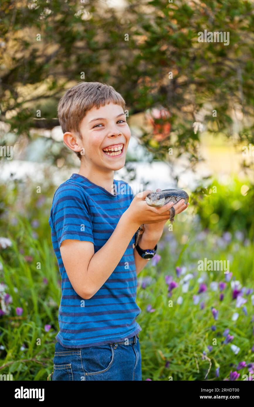 Glücklicher junger australischer Junge, der beim Lachen eine Eidechse mit blauer Zunge hält Stockfoto