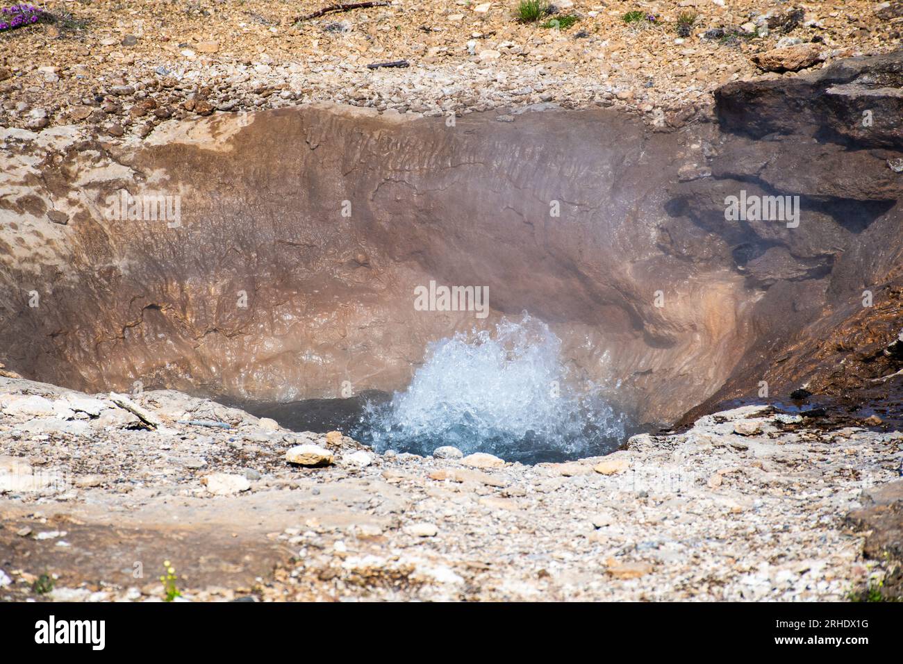Sprudelnde heiße Wasserquelle in der geothermischen Geysir-Region Islands Stockfoto