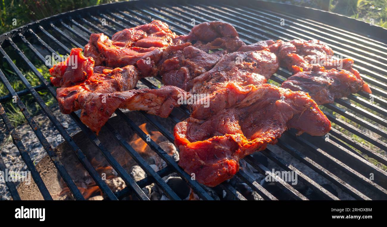 Grillkurve. BBQ im Garten. Riesige Steaks grillen. Stockfoto