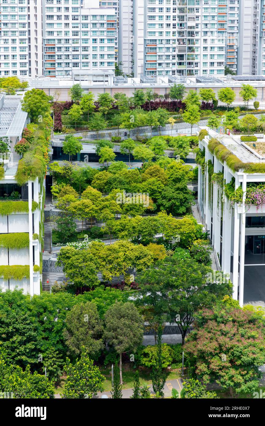 Oasis Terraces in Singapur bietet ein grünes Dach eine städtische naturbasierte Lösung für Umweltprobleme wie den Klimawandel. Stockfoto