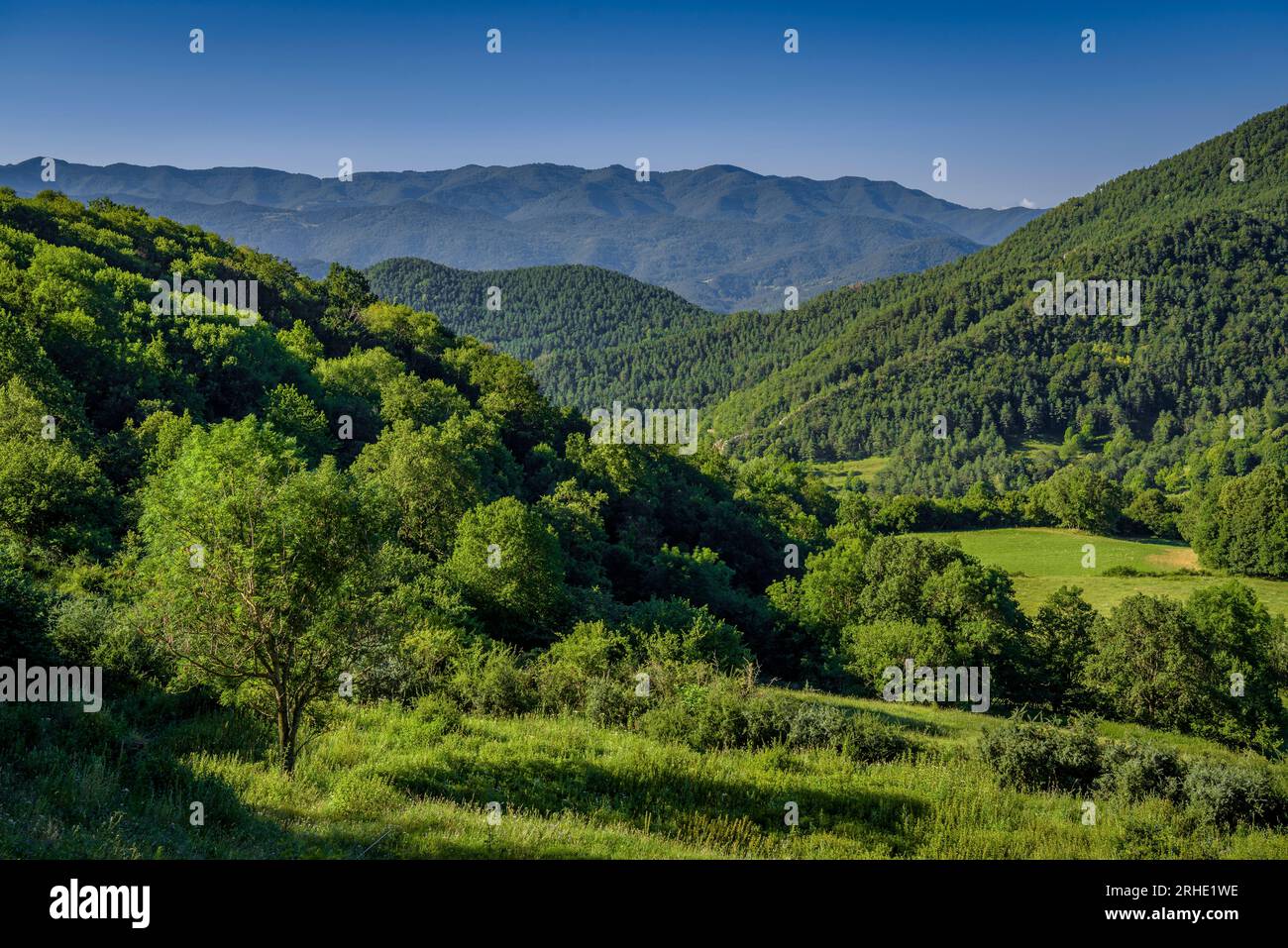 Ländliche Weiden von Sant Martí Surroca an einem Sommermorgen zwischen der Serra Cavallera und der Serra de Sant Amand, in Ogassa, Ripollès, Girona Spanien Stockfoto