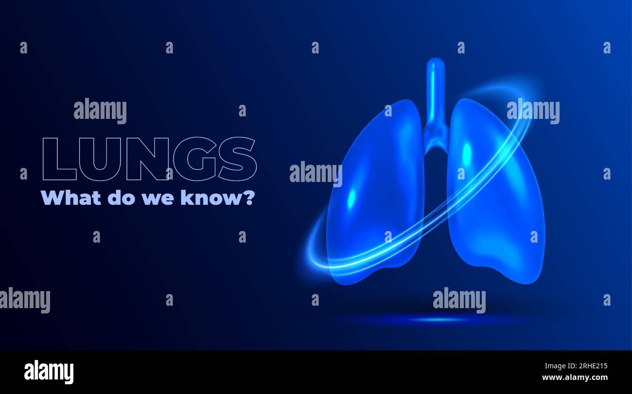 Die Anatomie der menschlichen Lungen. 3D-Modell der menschlichen Lunge. Gesundheit und Pflege Atmungssystem. Informatives medizinisches Konzept. Abdeckungsdesign. Vektor 3D-Abbildung. Stock Vektor