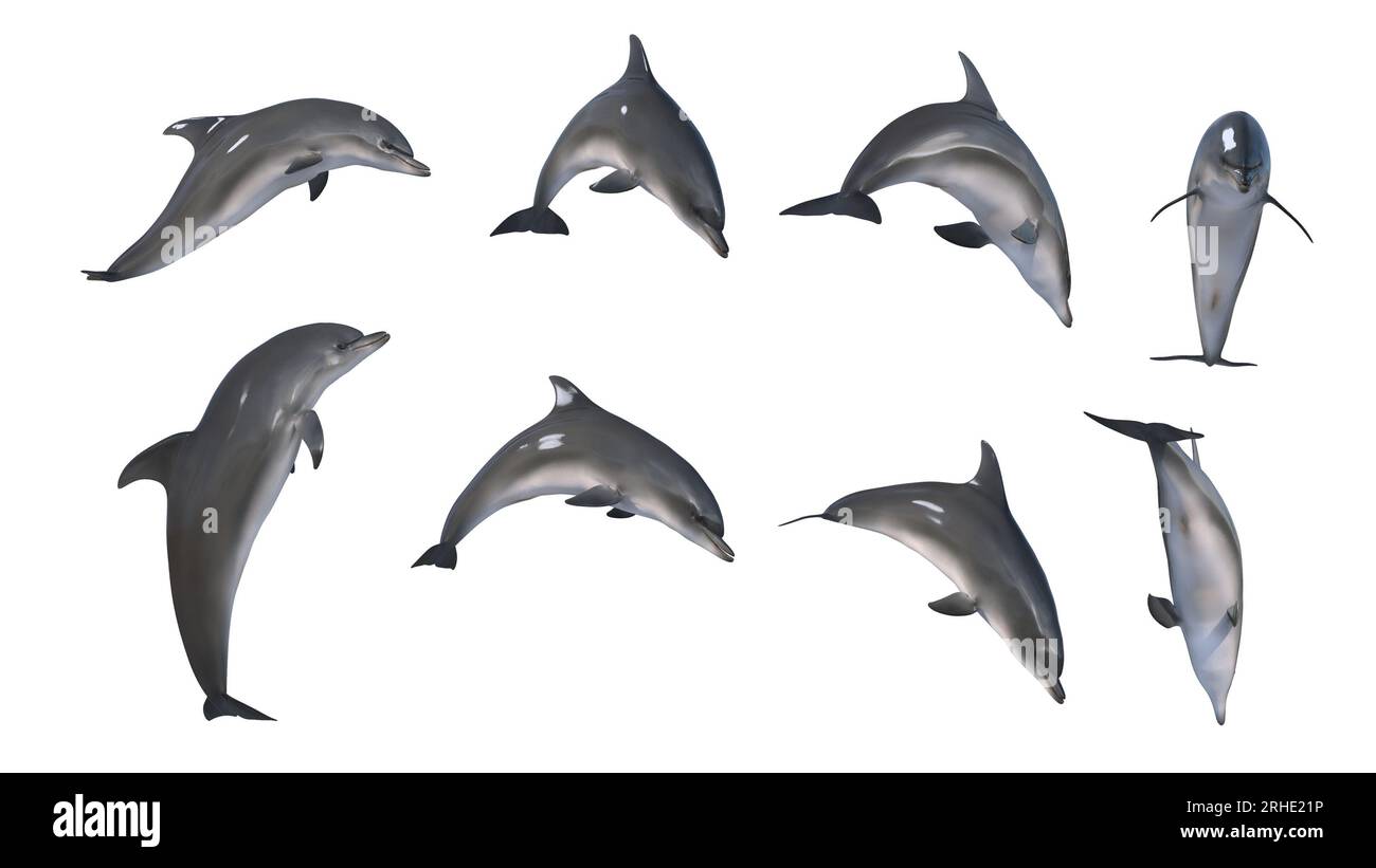 3D-Rendering - Mischung aus 8 Bildern von Delfinsprung in der Aktion.3D-Rendering von spielbarem Delfin in verschiedenen Winkeln. Isolierter springender Delfin. Stockfoto