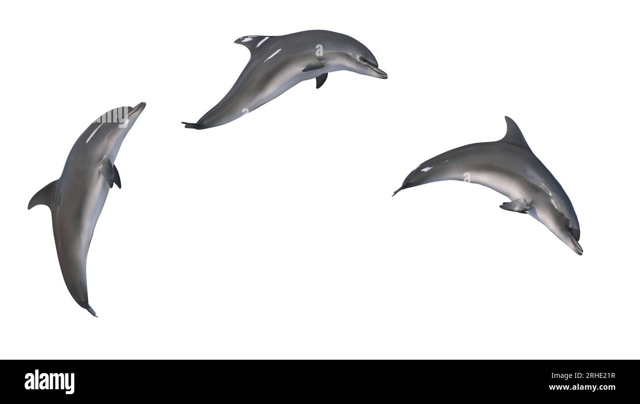 Mix aus 3 Bildern von Delfinsprung 3D-Rendering von isolierten spielerischen Delfinen Stockfoto