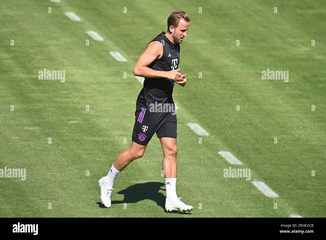 München, Deutschland. 16. Aug. 2023. Harry KANE (FC Bayern München), trainiert den FC Bayern München am 16. August 2023 auf dem Trainingsgelände in der Saebener Straße. Football 1. Bundesliga, Staffel 2023/2024? Kredit: dpa/Alamy Live News Stockfoto