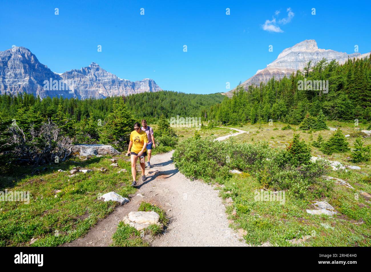 Lärchtal Wanderung Banff National Park, Canadian Rockies, Alberta, Kanada. Banff National Park, Alberta, Kanada Stockfoto