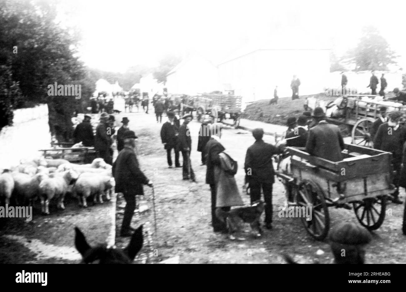 Roundwood (Tochar) Fair, Co Wicklow, Irland, viktorianische Zeit Stockfoto