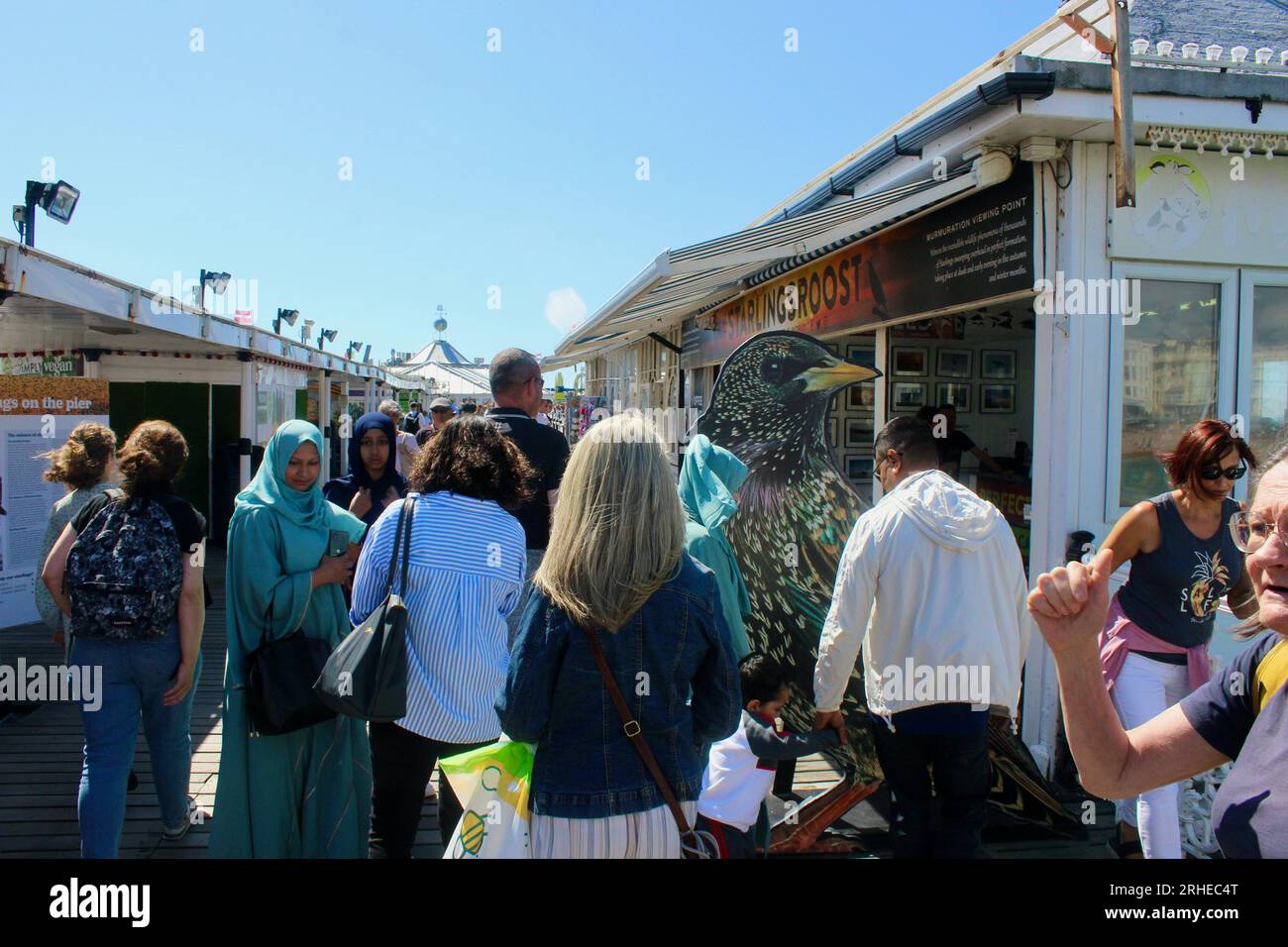 Ein großer Sternenvogel aus Pappe am Pier von brighton sussex england Stockfoto