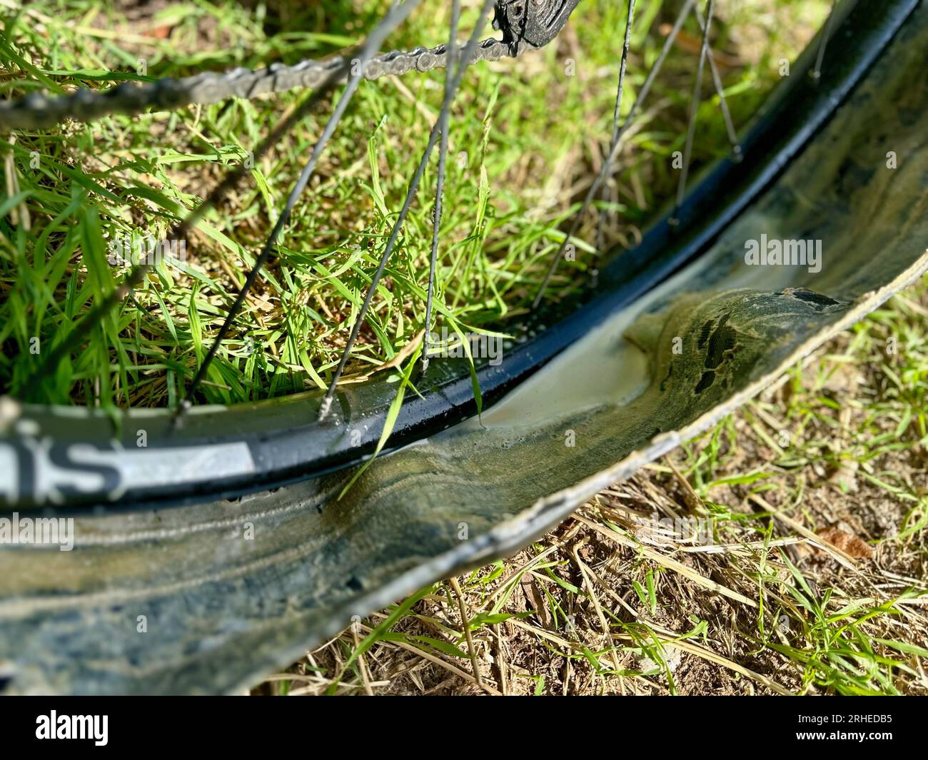 Nahaufnahme des zerbrochenen MTB-Reifens: Dichtmittel nach dem Aufblasen des Fahrradrads Stockfoto