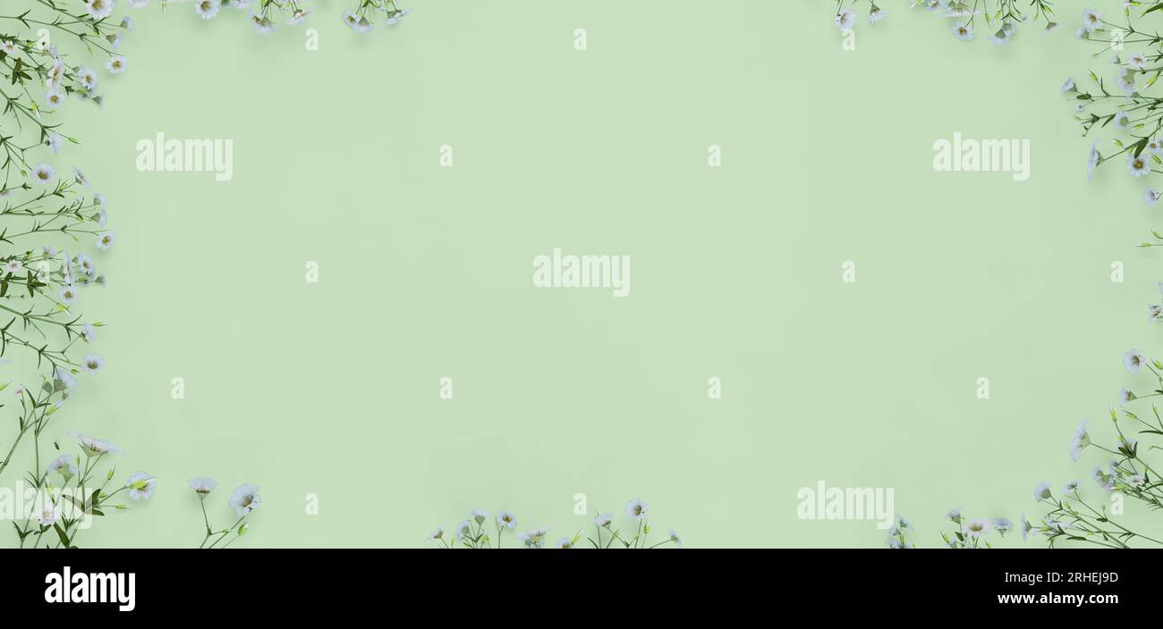 Es gibt Blumen um den quadratischen Rahmen mit Platz in der Mitte für Text und Element, 3D-Illustrations-Rendering Stockfoto