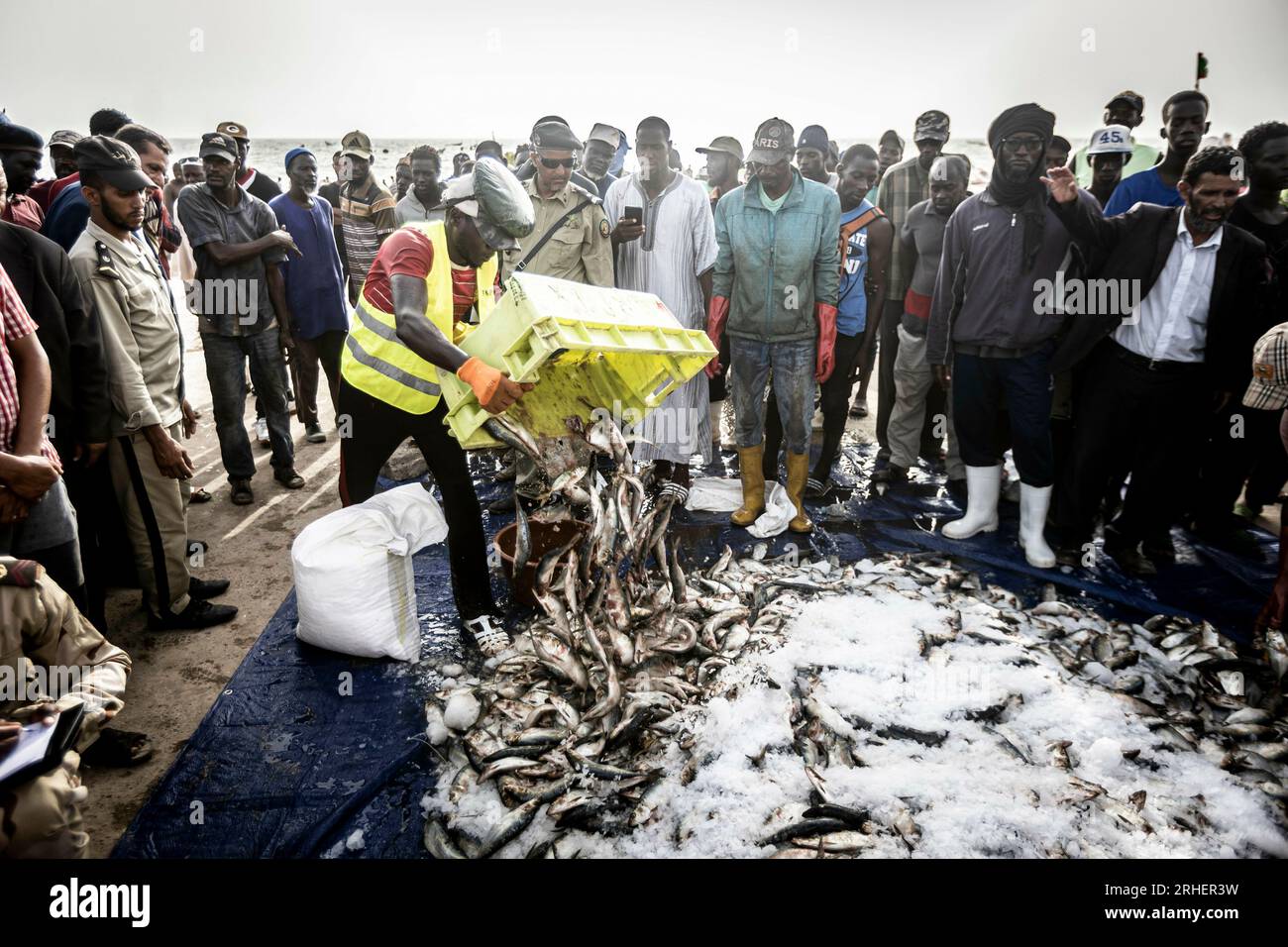 Nouakchott, Mauretanien. 14. Aug. 2023. Fischereikontrolle bei einem Besuch des kleinen Fischereihafens in Nouakchott, 08/14/2023. Copyright: Leon Kuegeler/photothek.de Kredit: dpa/Alamy Live News Stockfoto