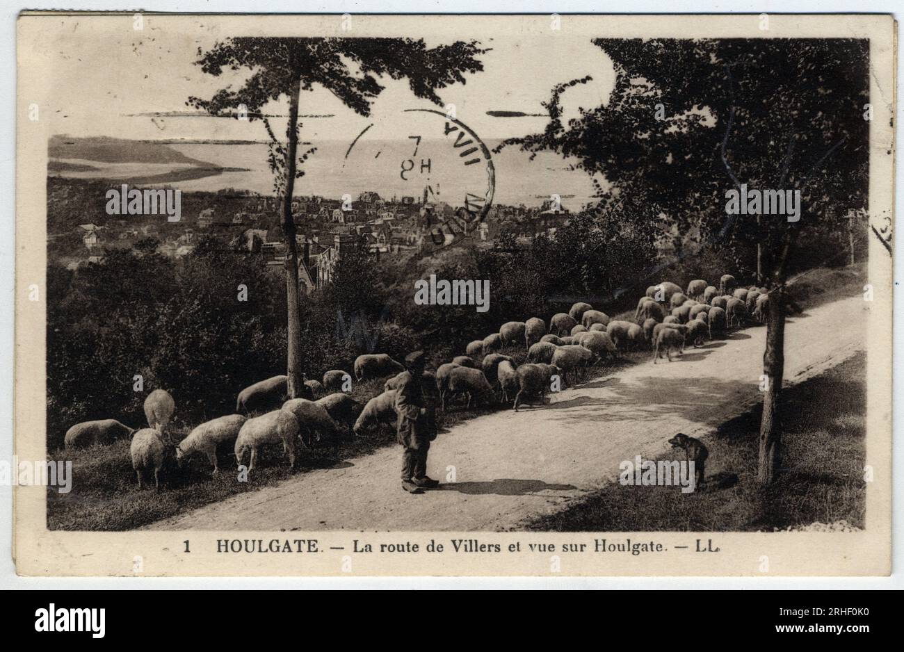 Normandie, Calvados (14), Houlgate : troupeau de moutons sur la Route de Villers et vue sur Houlgate - Carte postale fin 19eme-debüt 20eme siecle Stockfoto