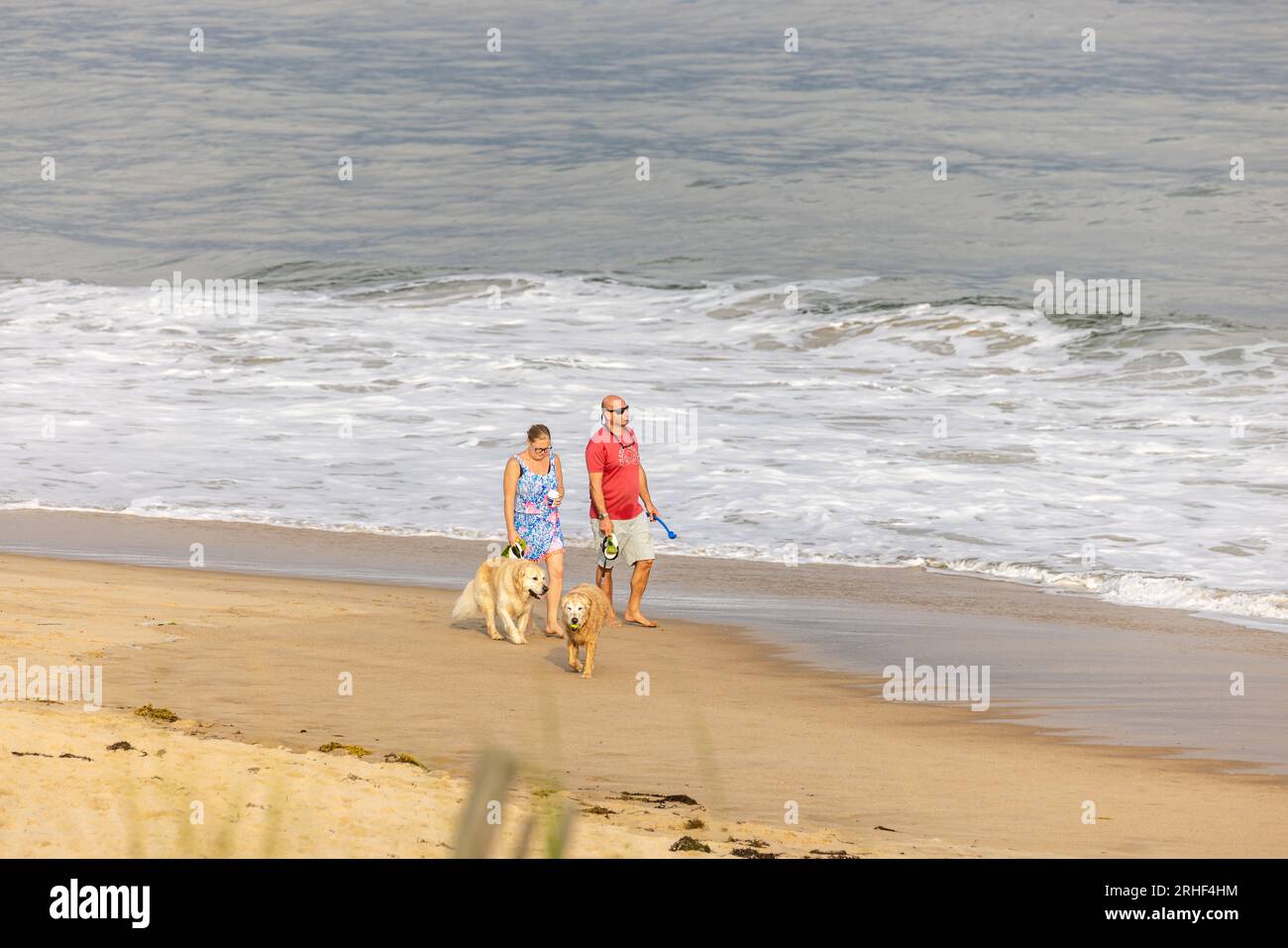 Ein Paar, das mit zwei Hunden an einem Strand von montauk spaziert Stockfoto