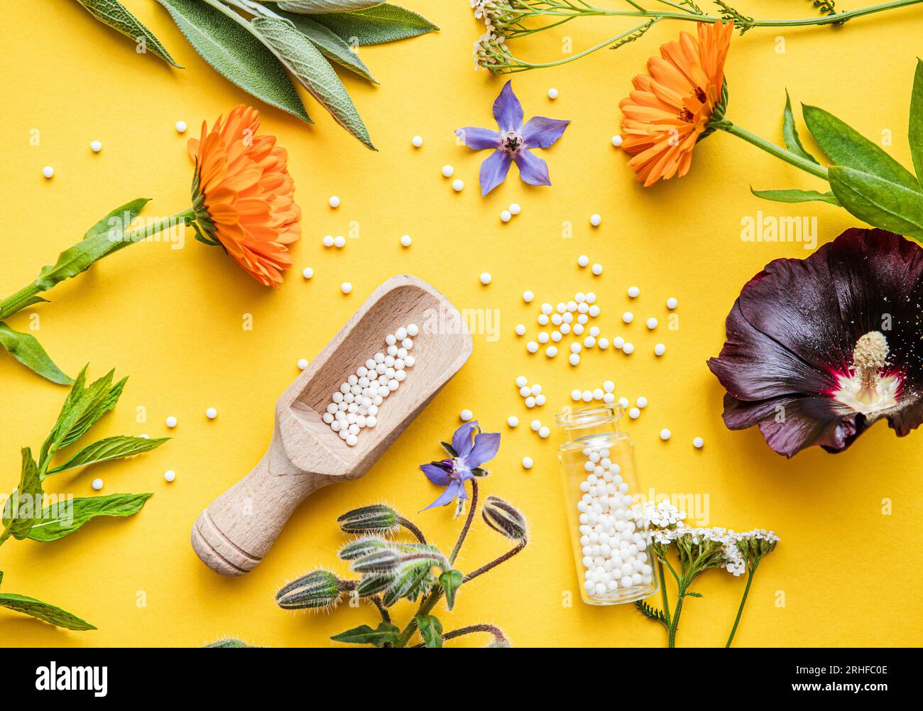 Flache Lay-Ansicht homöopathische Medizin Pillen in Gläsern und verschüttet herum auf gelbem Hintergrund, dekoriert mit frischen verschiedenen Kräutern und Pflanzen, Blumen. Stockfoto