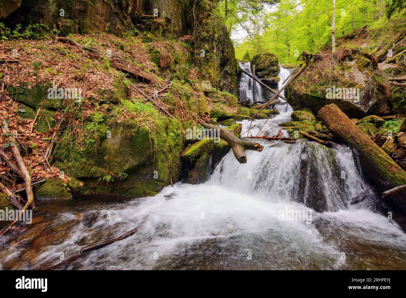 Wasserfall am Bach zwischen Felsen. Naturlandschaft in karpaten Stockfoto