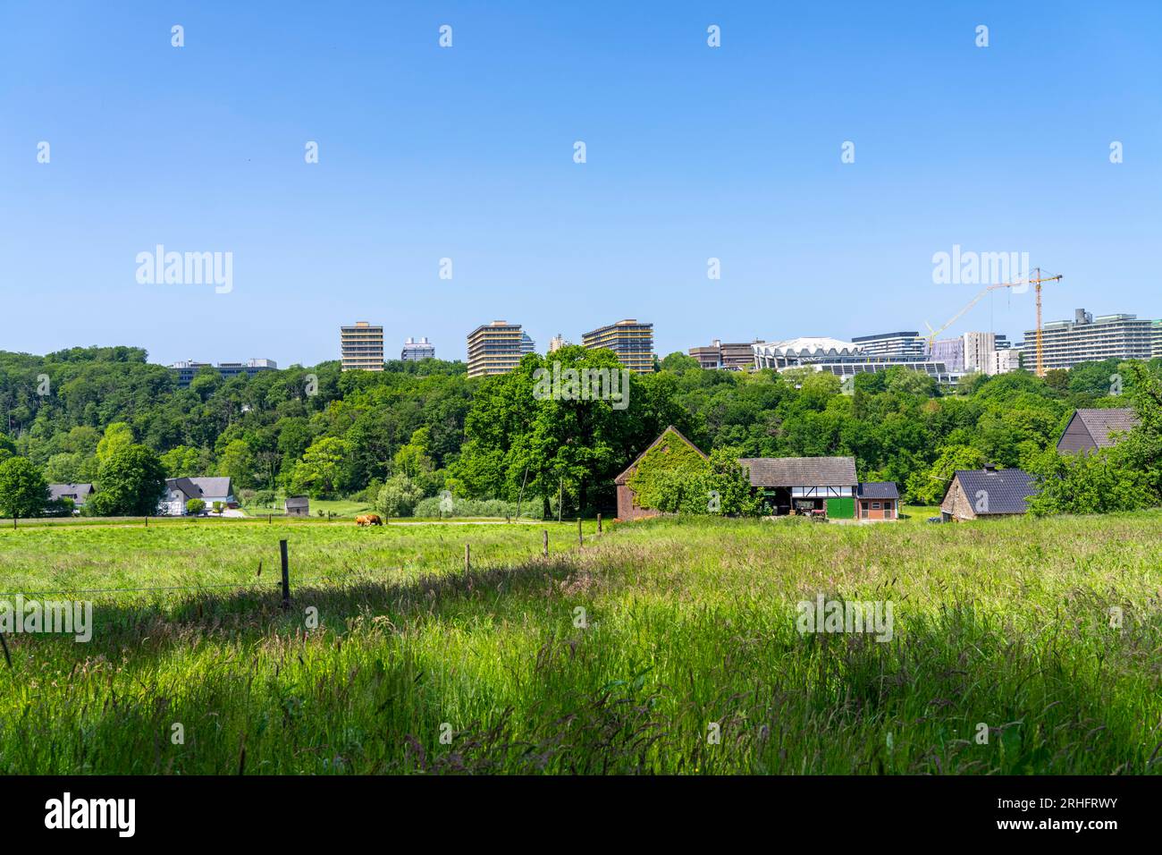 Blick über das Lottental, im Süden von Bochum, zur Ruhr-Universität Bochum, Bauernhof, NRW, Deutschland Stockfoto