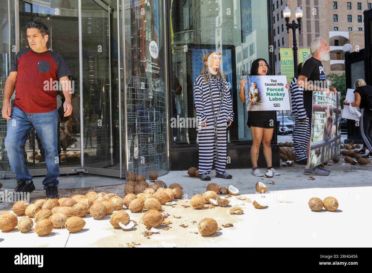 PETA organisiert einen Protest außerhalb eines Whole Foods Market, um gegen den Verkauf seiner 365-Marke thailändischer Kokosmilch zu protestieren, die durch Zwangsarbeit von Affen im Stadtviertel East Loop in Chicago am 16. August 2023 gewonnen wurde. PETA Asia Investigations fand heraus, dass Affen unter grausamen Bedingungen lebten und gezwungen waren, lange Stunden auf Bäume zu klettern und Kokosnüsse zu pflücken, aber Whole Foods weigerte sich, den Verkauf von thailändischer Kokosmilch einzustellen, obwohl es andere Kokosmilch aus Konservendosen aus Ländern anbietet, in denen keine Affenarbeit verwendet wird. (Foto: Alexandra Buxbaum/Sipa USA) Guthaben: SIPA USA/Alamy Live News Stockfoto