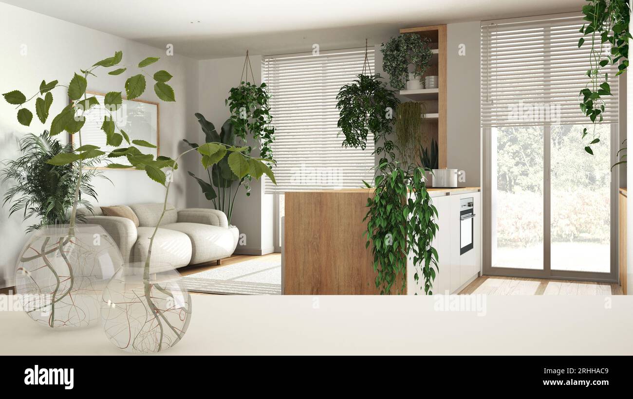 Weiße Tischplatte oder Regal mit Glasvase mit hydroponischer Pflanze, Ornament, Wurzel der Pflanze im Wasser, Zweig in Vase, Hauspflanze, Küche und Wohnzimmer Stockfoto